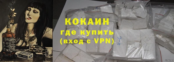шишки Абаза